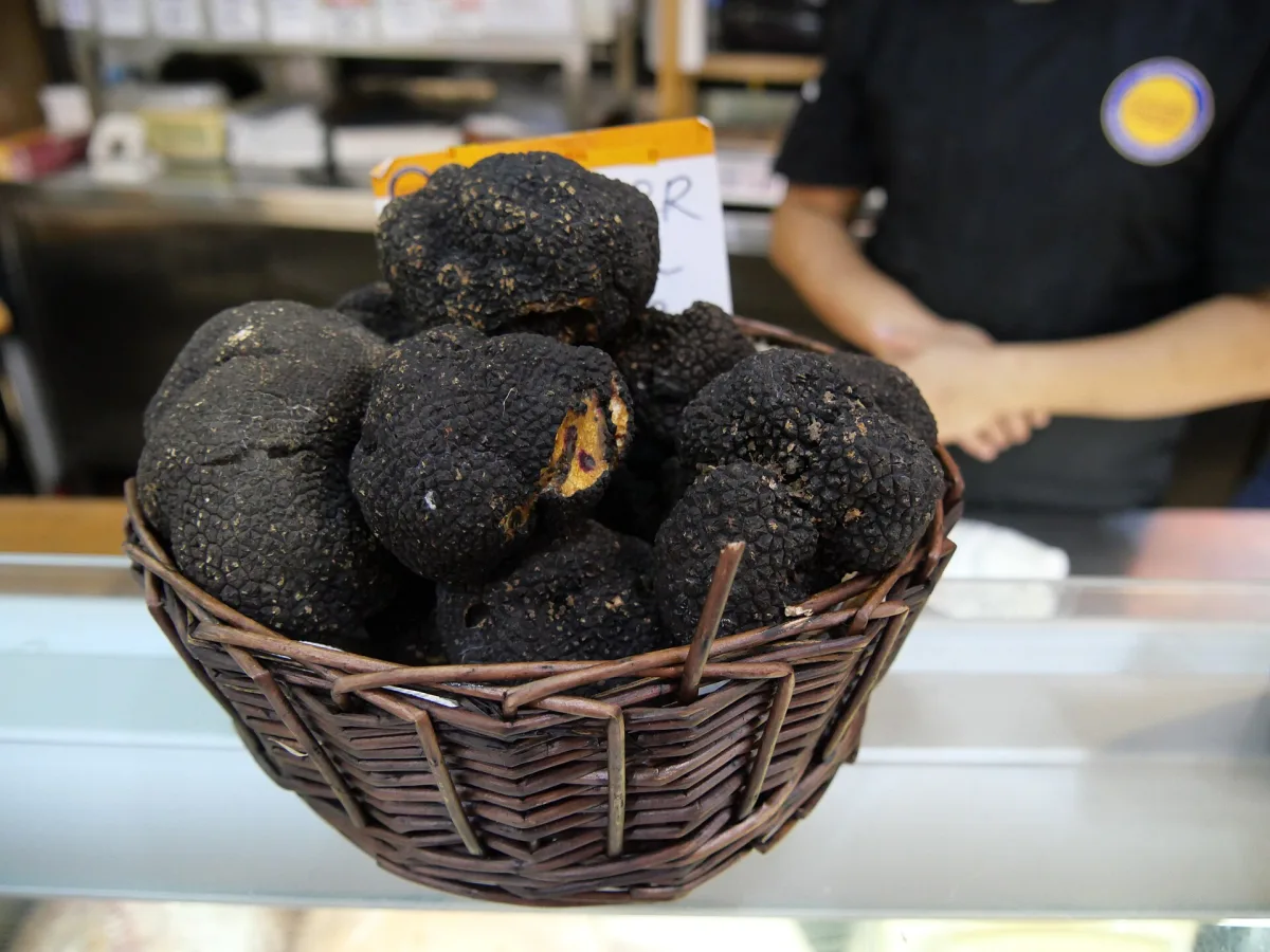Sagra del Tartufo di Sant’Agostino Sant’Agostino di Terre del Reno 2026: date e programma