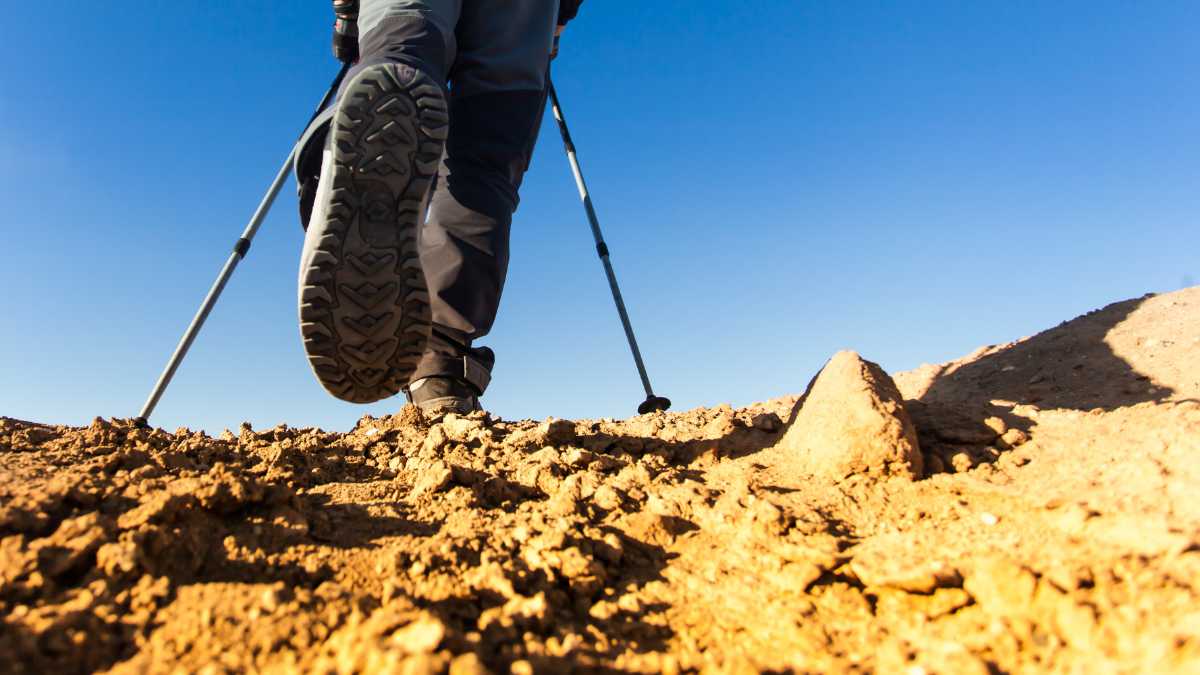 I Migliori Trekking nei Dintorni di Cesena