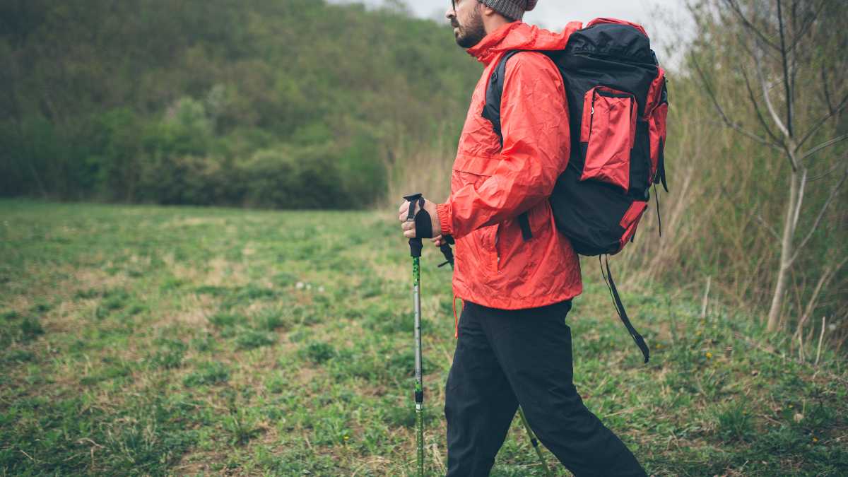 I migliori trekking vicino a Reggio Emilia: un'avventura tra natura e cultura