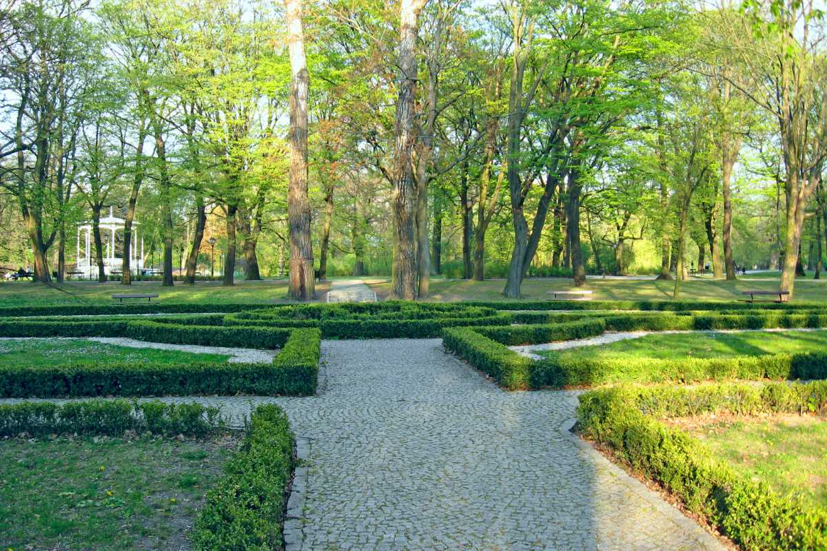 Interno dell'Acetaia con botti di aceto balsamico