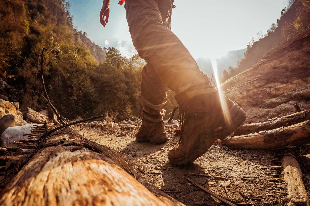 Escursionisti in cammino nel Parco Nazionale delle Foreste Casentinesi